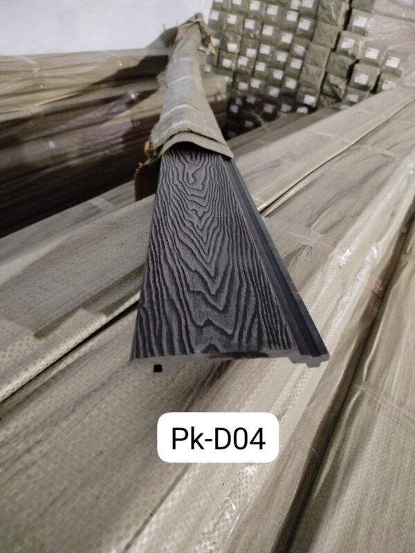 Pk-D04